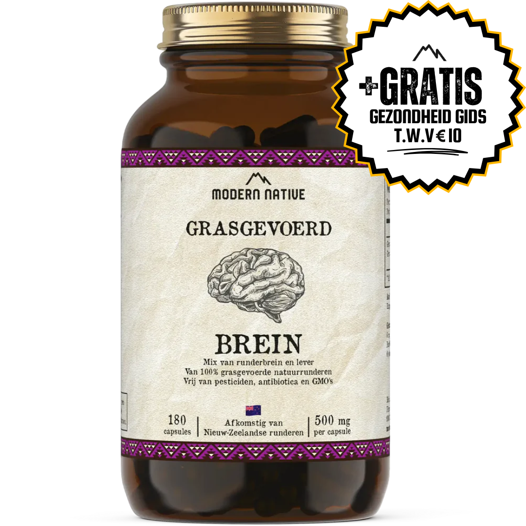 BREIN (ACTIE)