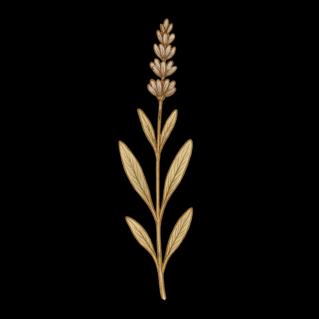 LAVENDEL-OLIE