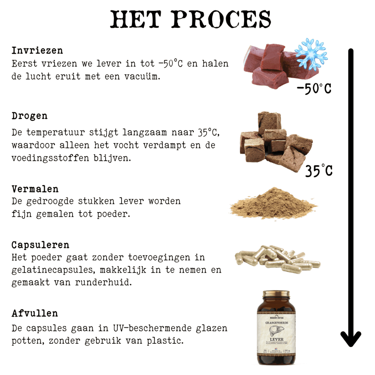 Het proces: invriezen, drogen, vermalen, capsuleren, afvullen