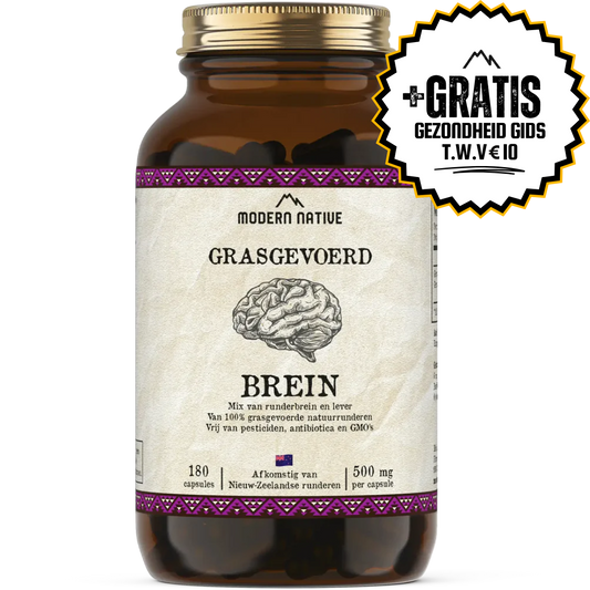 BREIN (ACTIE)